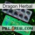 Dragon Herbal new04